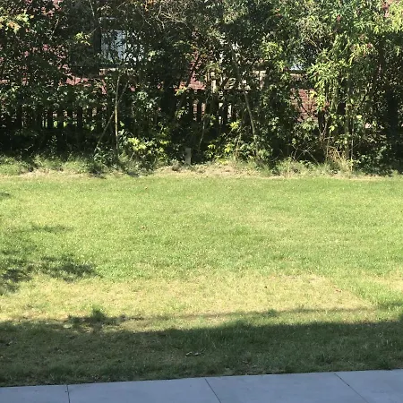Kukshoern * Dangast
